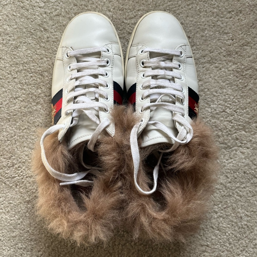 Gucci ace fur sneakers
